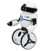 Робот Wowwee MIP