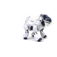 Aibo